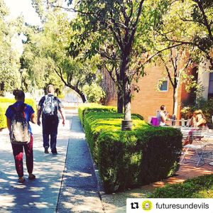 Image post by @sundevilwbb on Instagram