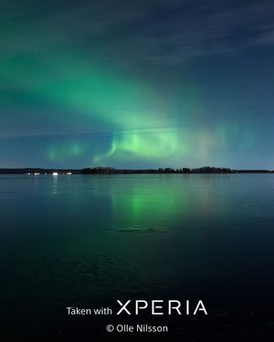 Image post by @sony on TikTok