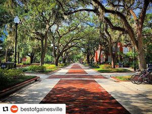 Image post by @gatorsgym on Instagram