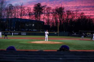 Image post by @elonphoenix on Instagram