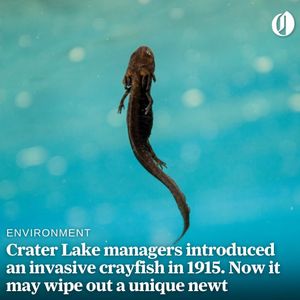 Image post by @theoregonian on Instagram