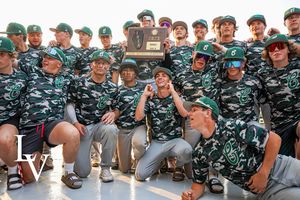 Image post by @laubhan.creative on Instagram