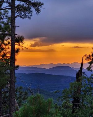 Image post by @nauflagstaff on Instagram