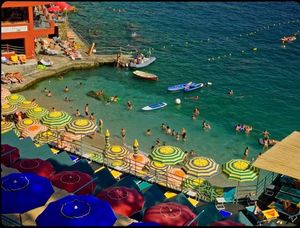 Image post by @production.alfred on Instagram