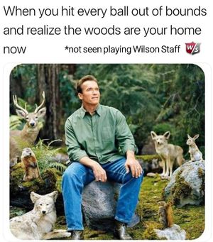 Image post by @wilsongolfcanada on Instagram