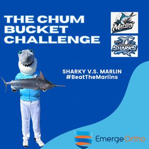 Image post by @ilmsharks on Instagram