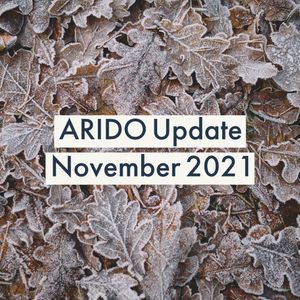 Image post by @aridontario on Instagram
