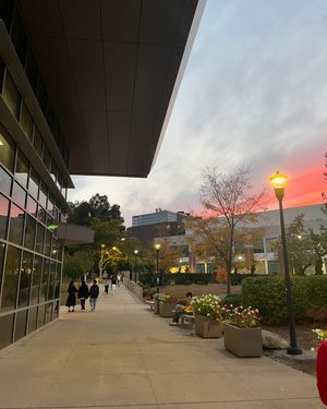 Image post by @stonybrooku on Instagram