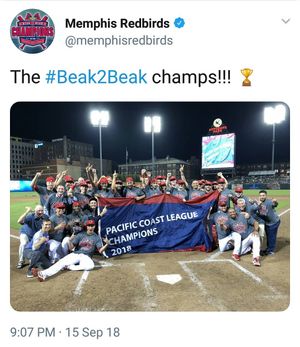 Image post by @springfield_cardinals on Instagram