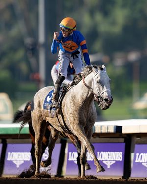 Image post by @spendthriftfarm on Instagram