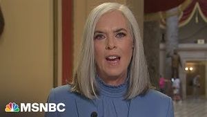 Video post by @msnbc on YouTube