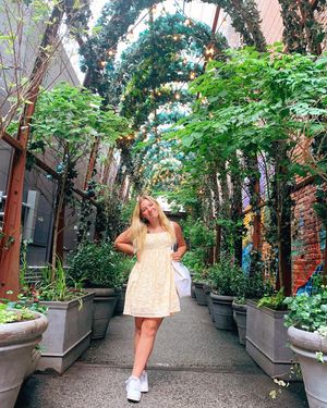 Image post by @pittpanhel on Instagram