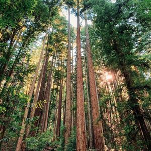 Image post by @ucsc_mvb on Instagram
