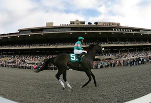 Image post by @breederscup on Instagram