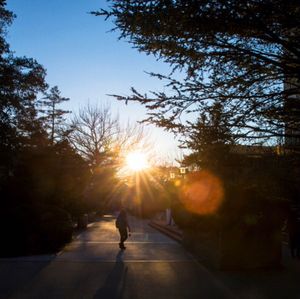 Image post by @hofstrau on Instagram