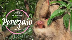 Image post by @animalplanet on Instagram