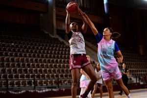 Image post by @fsuwbb on Twitter