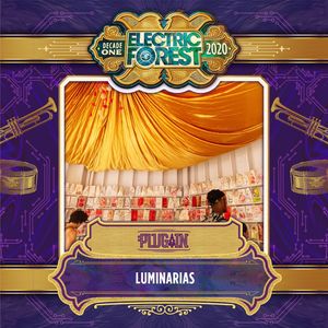 Image post by @electric_forest on Instagram