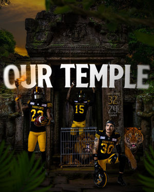 Image post by @hamiltontigercats on Instagram