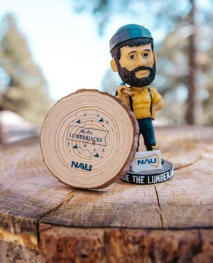 Image post by @nauflagstaff on Instagram