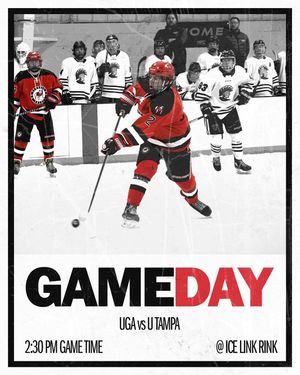 Image post by @UGAHockey on Twitter