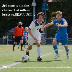 Image post by @dailycalsports on Instagram