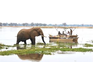 Image post by @chiawasafaris on Instagram
