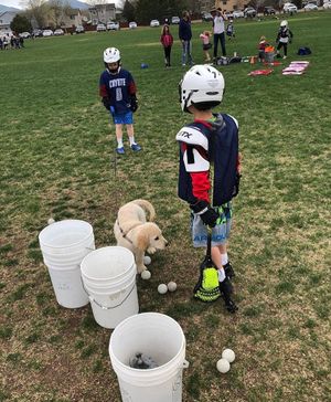 Image post by @washeduplaxbros on Instagram
