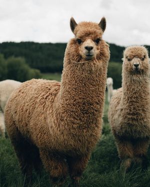 Image post by @unsplash on Instagram