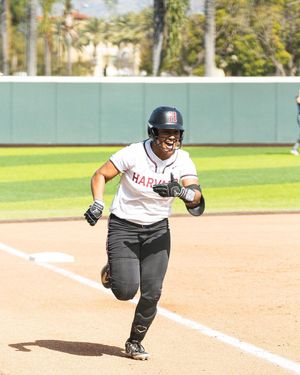 Image post by @ncaasoftball on Instagram