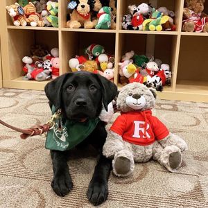 Image post by @rutgersnb on Instagram