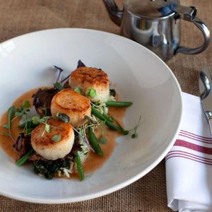 Image post by @terzompls on Instagram