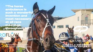 Image post by @NZHorseAmbulanceTrust on Facebook