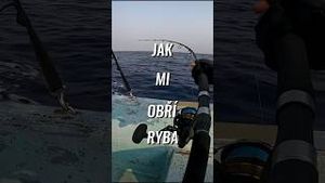 Video post by @jonasederfishing on YouTube