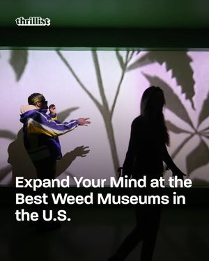 Image post by @thrillist on Instagram
