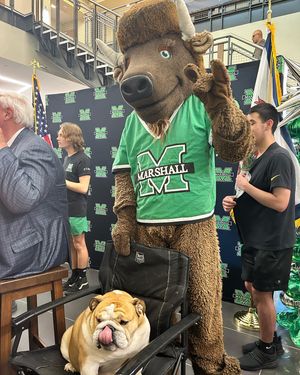 Image post by @marshallulife on Instagram