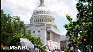 Video post by @msnbc on YouTube