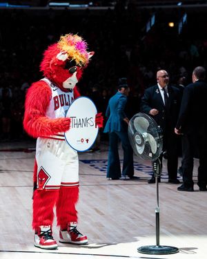 Image post by @bennythebull on Instagram