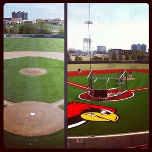 Image post by @isuredbirds on Instagram