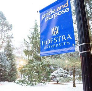 Image post by @hofstrau on Instagram