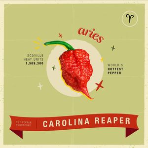 Image post by @bonnieplants on Instagram