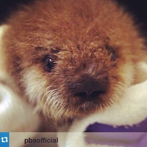 Image post by @kqed on Instagram
