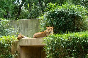 Image post by @mikolaymedia on Instagram