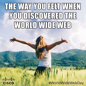 Image post by @cisco on Instagram