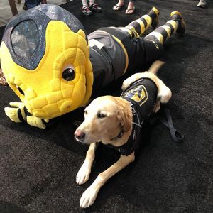 Image post by @chancenhl on Instagram