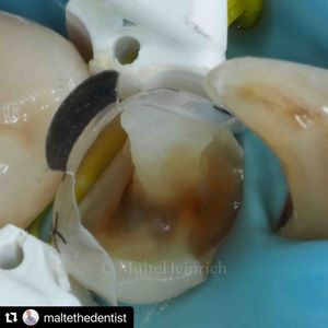 Image post by @ripeglobal on Instagram