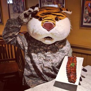 Image post by @lsumiketiger on Instagram