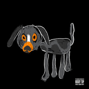 Image post by @vol_sports on Instagram