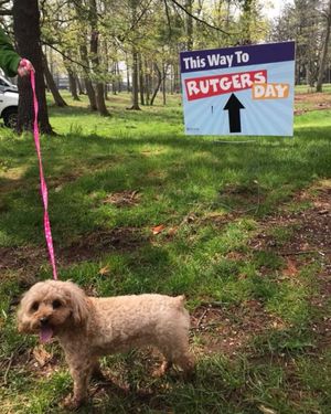 Image post by @rutgersu on Instagram