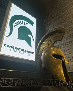 Image post by @msu_baseball on Instagram